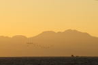 D2013002_046H
