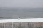 D2013005_044H