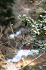 D2013006_041V