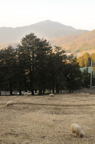 D2013014_005V