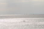 D2013015_116H