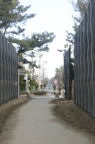 D2013015_131V