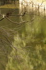 D2013017_018V