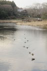 D2013017_059V