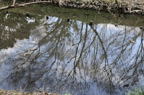 D2013018_009H