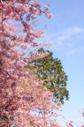 D2013022_099V