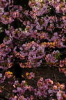 D2013021_078V