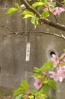 D2013021_123V