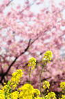 D2013021_153V