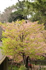 D2013021_275V