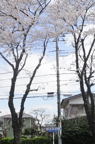 D2013023_003V