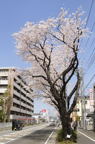 D2013023_008V