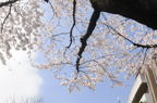 D2013023_013H