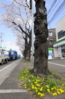 D2013023_019V