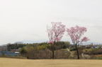 D2013023_054H
