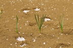 D2013023_099H