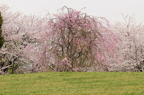 D2013024_037H