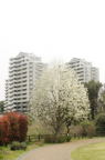 D2013024_044V