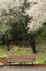 D2013024_063V