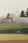 D2013024_125V
