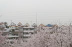 D2013024_177H