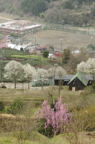 D2013025_034V