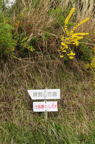 D2013025_040V