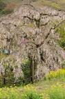 D2013025_053V