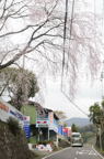 D2013025_110V