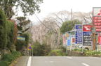 D2013025_117H