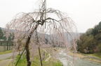 D2013025_158H