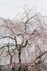 D2013025_253V
