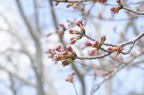 D2013027_034H