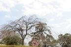 D2013027_052H