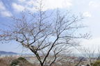 D2013027_079H