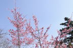 D2013027_093H