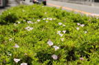 D2013031_034H