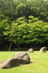 D2013031_047V