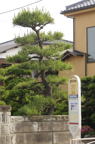 D2013031_088V