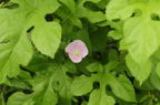 D2013033_026H