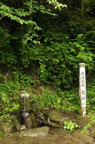 D2013033_140V