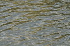 D2013034_007H