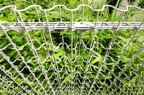 D2013034_008H