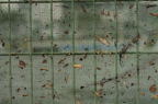 D2013034_063H