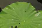 D2013038_048H