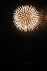 D2013041_066V