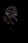 D2013041_172V