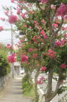 D2013042_006V