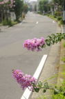 D2013042_010V