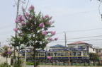 D2013042_020H